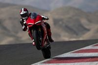 2025 Ducati Panigale V2 wheeling on race track