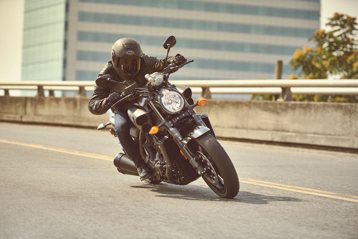 Throttle wide open, road dead straight. The VMAX in its natural habitat.