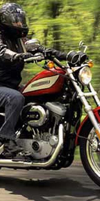 Sportster 1200 r best sale 2004