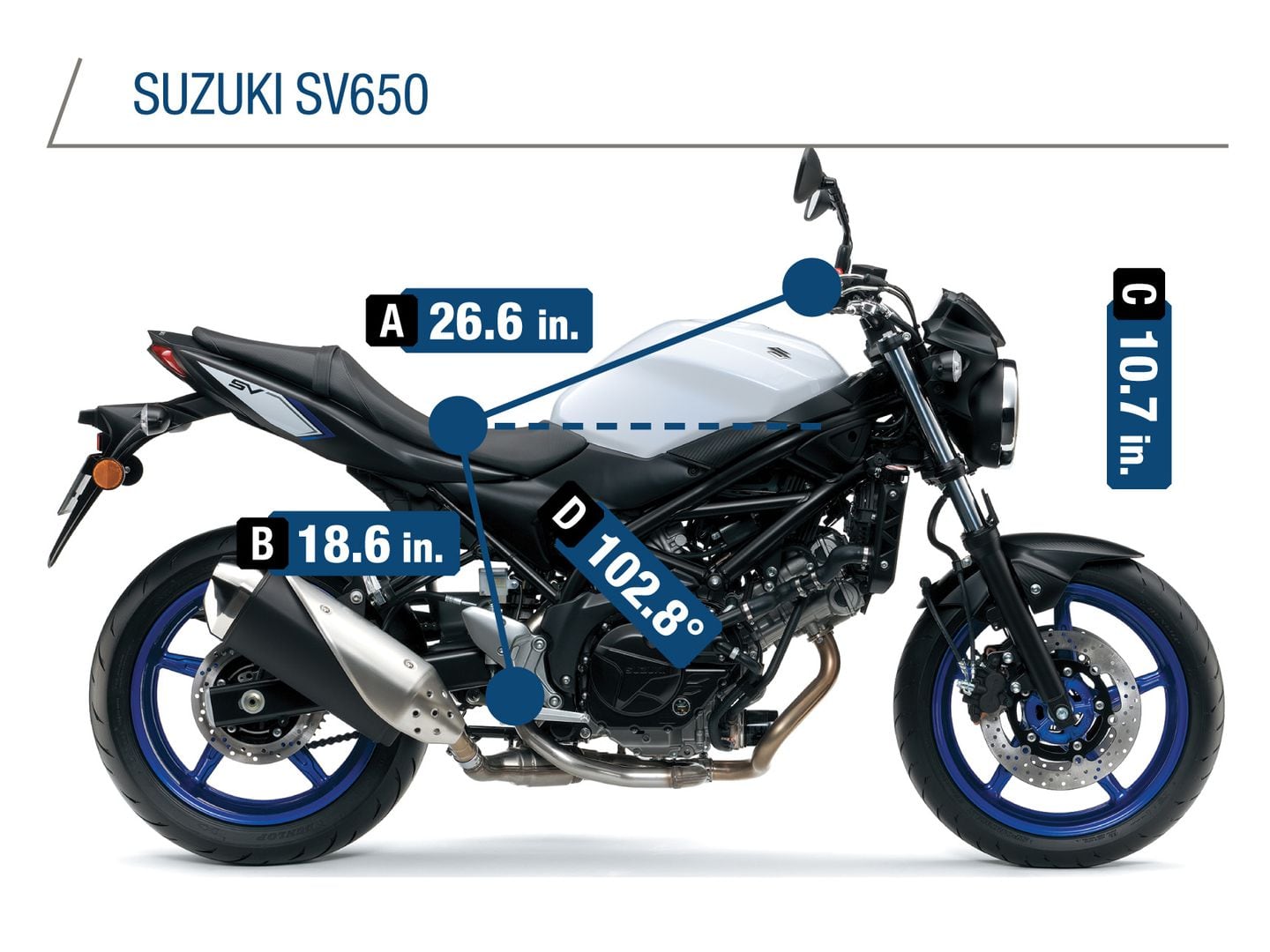 Suzuki deals gladius 2021