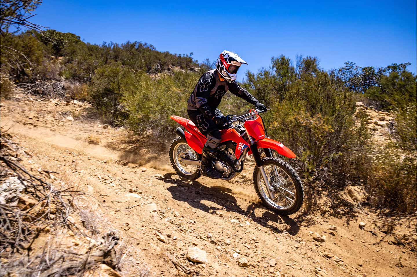 The Honda CRF250F, in its natural environs on trails, dirt, and rocks.