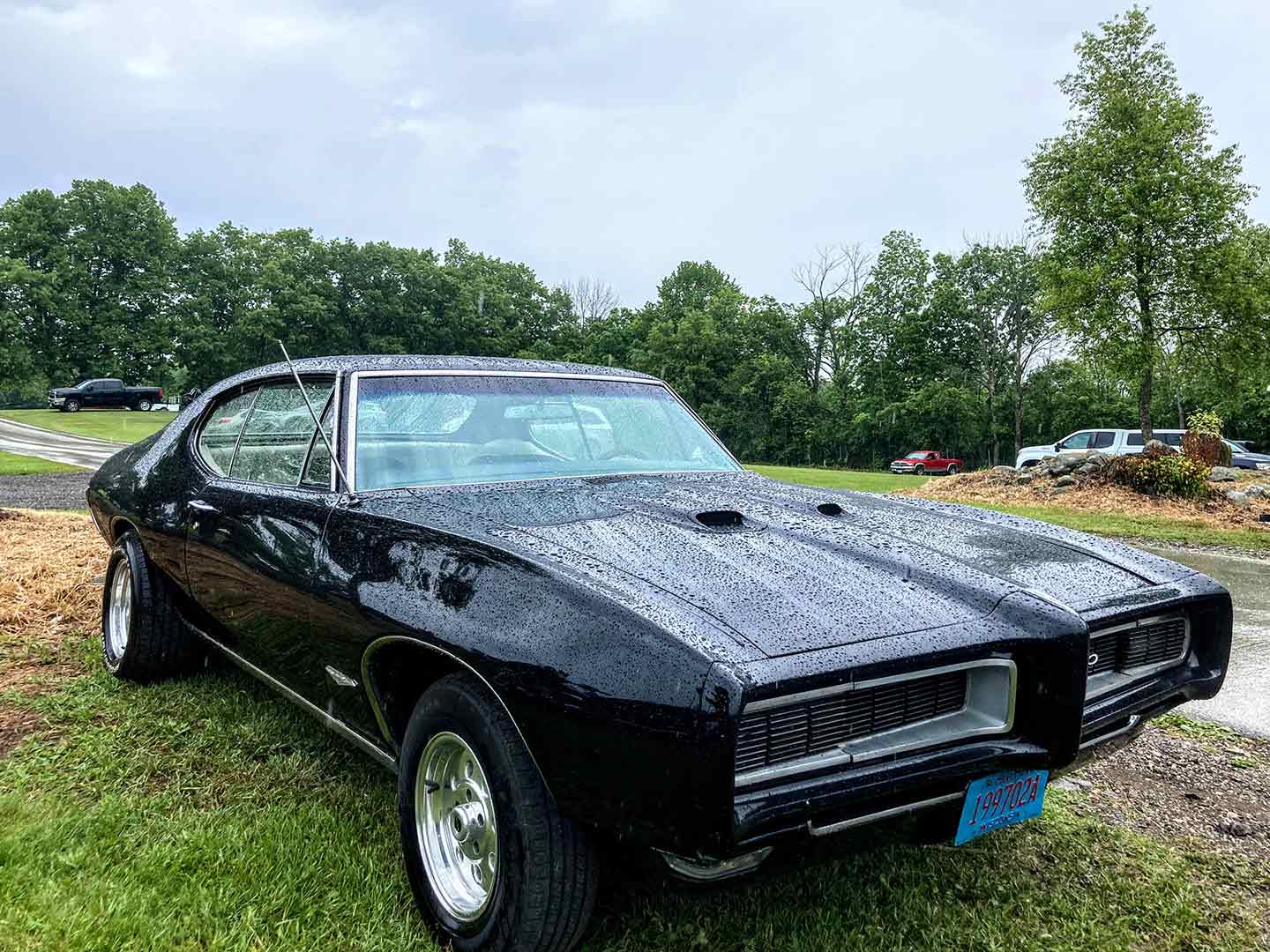 Invest in carnauba wax futures. A lovely 1968 Pontiac GTO, demonstrating proper water-beading practices.