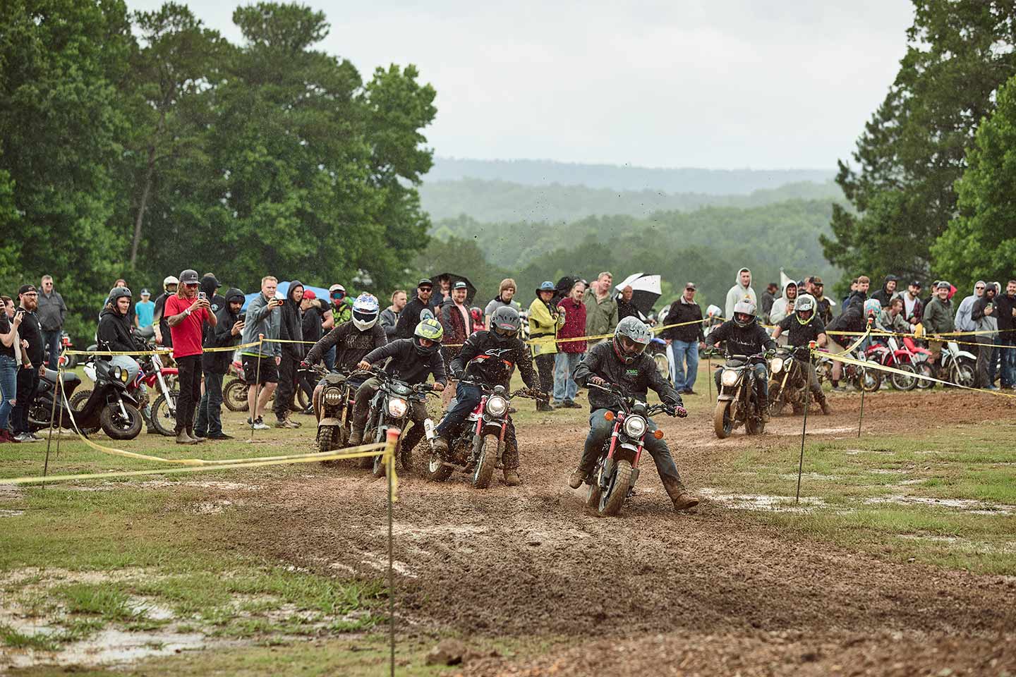 A pair of Honda Monkeys got off to a good start during the pitbike race.